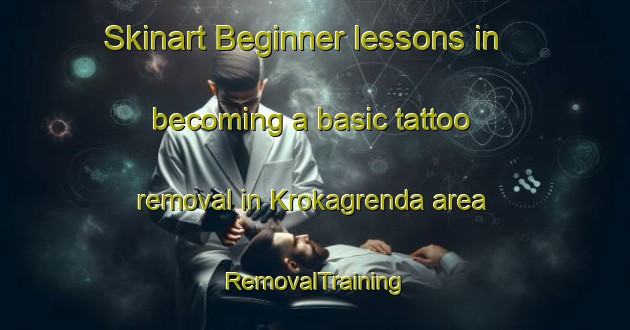 Skinart Beginner lessons in becoming a basic tattoo removal in Krokagrenda area | RemovalTraining | RemovalClasses | SkinartTraining-Norway