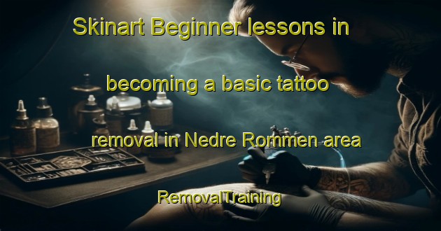 Skinart Beginner lessons in becoming a basic tattoo removal in Nedre Rommen area | RemovalTraining | RemovalClasses | SkinartTraining-Norway