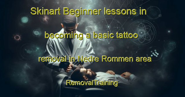 Skinart Beginner lessons in becoming a basic tattoo removal in Nedre Rommen area | RemovalTraining | RemovalClasses | SkinartTraining-Norway