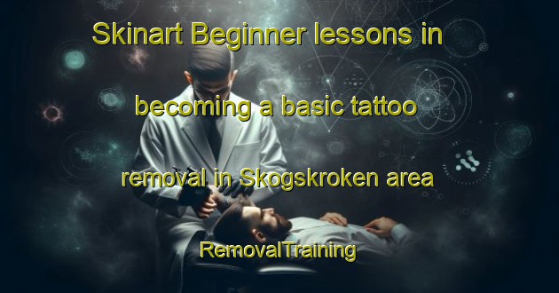 Skinart Beginner lessons in becoming a basic tattoo removal in Skogskroken area | RemovalTraining | RemovalClasses | SkinartTraining-Norway