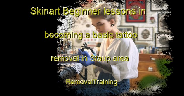 Skinart Beginner lessons in becoming a basic tattoo removal in Staup area | RemovalTraining | RemovalClasses | SkinartTraining-Norway