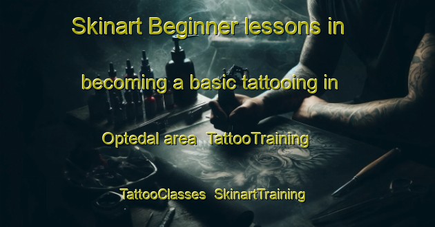 Skinart Beginner lessons in becoming a basic tattooing in Optedal area | TattooTraining | TattooClasses | SkinartTraining-Norway