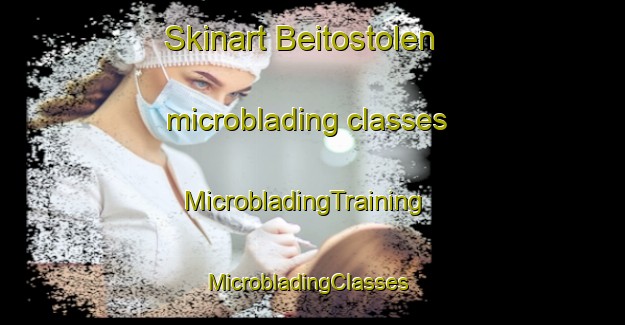 Skinart Beitostolen microblading classes | MicrobladingTraining | MicrobladingClasses | SkinartTraining-Norway