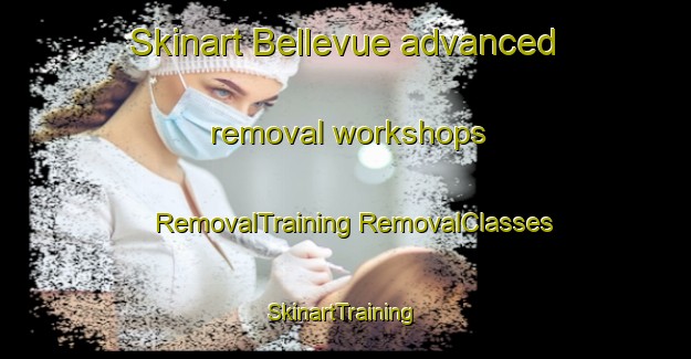 Skinart Bellevue advanced removal workshops | #RemovalTraining #RemovalClasses #SkinartTraining-Norway