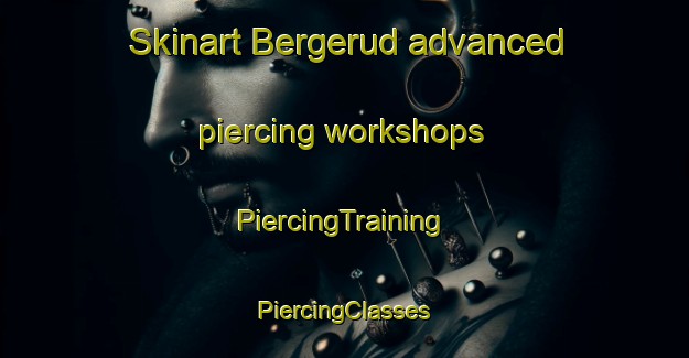 Skinart Bergerud advanced piercing workshops | #PiercingTraining #PiercingClasses #SkinartTraining-Norway