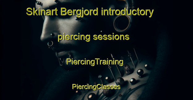 Skinart Bergjord introductory piercing sessions | #PiercingTraining #PiercingClasses #SkinartTraining-Norway