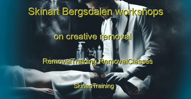 Skinart Bergsdalen workshops on creative removal | #RemovalTraining #RemovalClasses #SkinartTraining-Norway