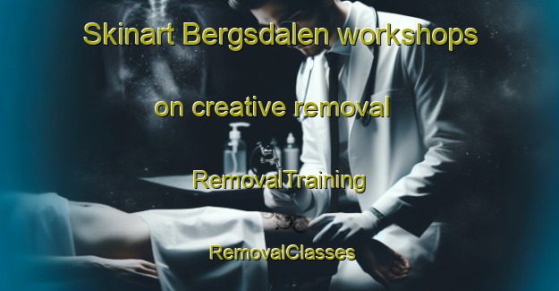 Skinart Bergsdalen workshops on creative removal | RemovalTraining | RemovalClasses | SkinartTraining-Norway