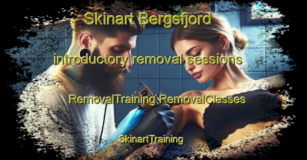 Skinart Bergsfjord introductory removal sessions | #RemovalTraining #RemovalClasses #SkinartTraining-Norway