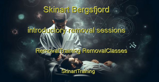 Skinart Bergsfjord introductory removal sessions | #RemovalTraining #RemovalClasses #SkinartTraining-Norway