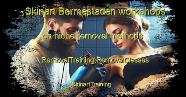 Skinart Bermestaden workshops on niche removal methods | #RemovalTraining #RemovalClasses #SkinartTraining-Norway