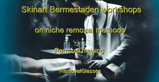 Skinart Bermestaden workshops on niche removal methods | RemovalTraining | RemovalClasses | SkinartTraining-Norway