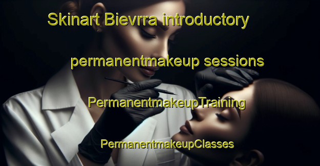 Skinart Bievrra introductory permanentmakeup sessions | #PermanentmakeupTraining #PermanentmakeupClasses #SkinartTraining-Norway