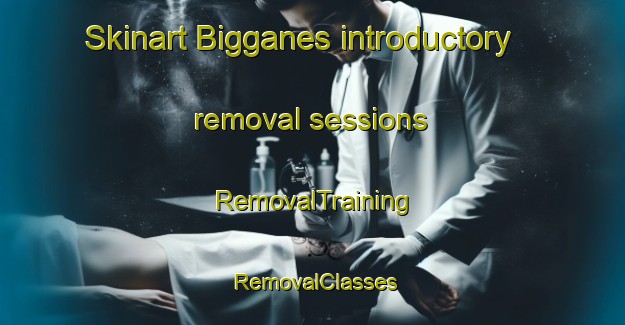 Skinart Bigganes introductory removal sessions | RemovalTraining | RemovalClasses | SkinartTraining-Norway