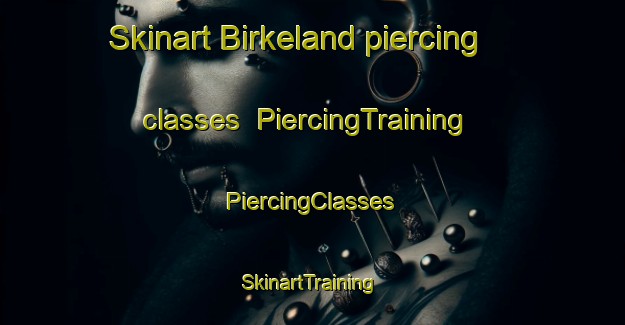 Skinart Birkeland piercing classes | #PiercingTraining #PiercingClasses #SkinartTraining-Norway