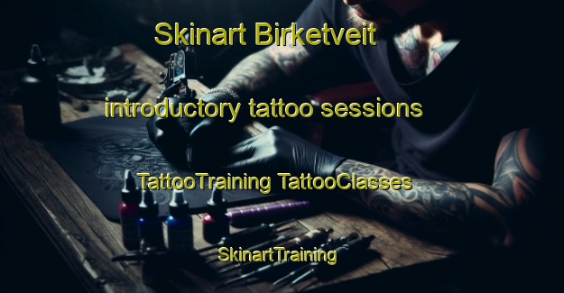 Skinart Birketveit introductory tattoo sessions | #TattooTraining #TattooClasses #SkinartTraining-Norway