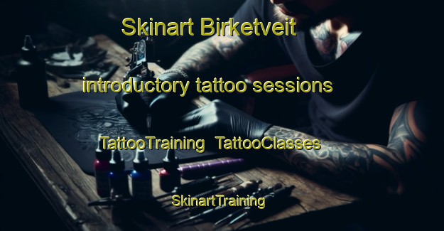 Skinart Birketveit introductory tattoo sessions | TattooTraining | TattooClasses | SkinartTraining-Norway