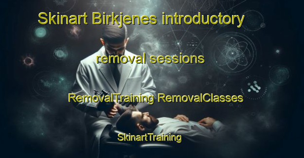 Skinart Birkjenes introductory removal sessions | #RemovalTraining #RemovalClasses #SkinartTraining-Norway