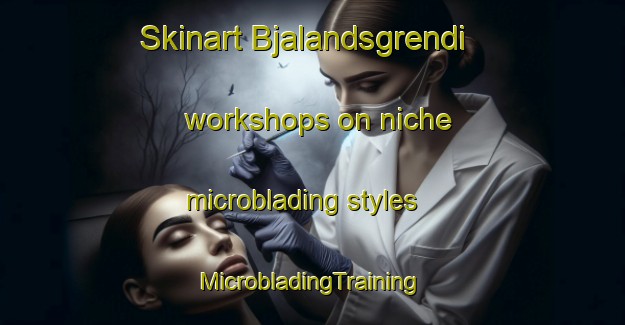 Skinart Bjalandsgrendi workshops on niche microblading styles | #MicrobladingTraining #MicrobladingClasses #SkinartTraining-Norway