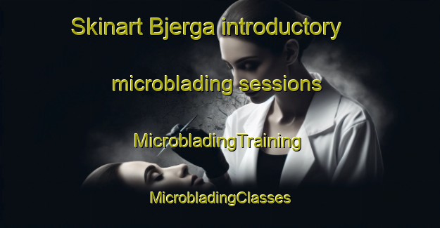 Skinart Bjerga introductory microblading sessions | #MicrobladingTraining #MicrobladingClasses #SkinartTraining-Norway