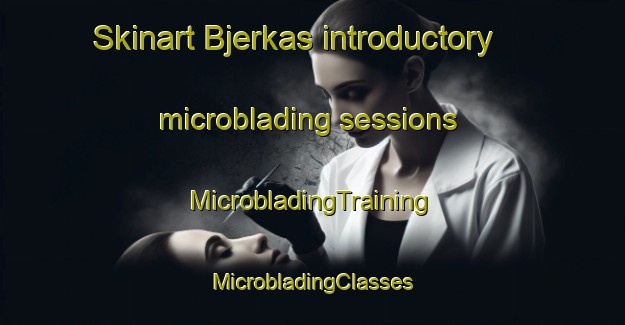 Skinart Bjerkas introductory microblading sessions | #MicrobladingTraining #MicrobladingClasses #SkinartTraining-Norway