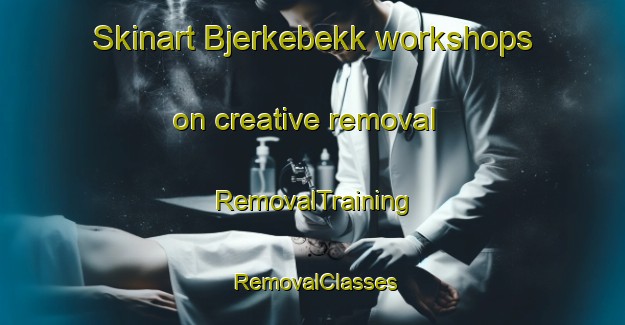 Skinart Bjerkebekk workshops on creative removal | RemovalTraining | RemovalClasses | SkinartTraining-Norway