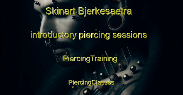 Skinart Bjerkesaetra introductory piercing sessions | #PiercingTraining #PiercingClasses #SkinartTraining-Norway