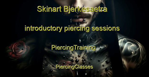 Skinart Bjerkesaetra introductory piercing sessions | #PiercingTraining #PiercingClasses #SkinartTraining-Norway