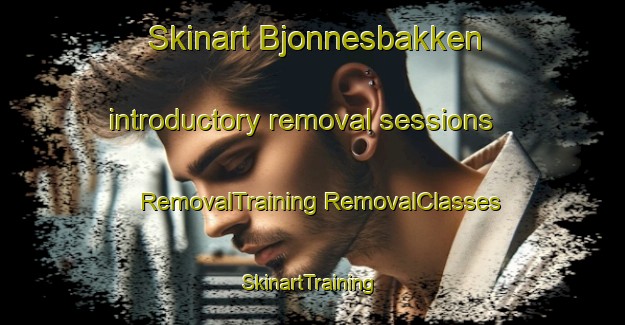 Skinart Bjonnesbakken introductory removal sessions | #RemovalTraining #RemovalClasses #SkinartTraining-Norway