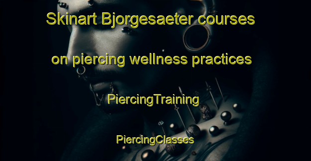 Skinart Bjorgesaeter courses on piercing wellness practices | #PiercingTraining #PiercingClasses #SkinartTraining-Norway