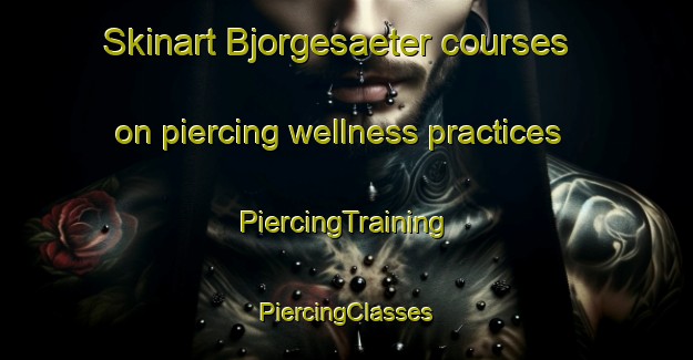 Skinart Bjorgesaeter courses on piercing wellness practices | #PiercingTraining #PiercingClasses #SkinartTraining-Norway