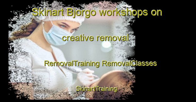 Skinart Bjorgo workshops on creative removal | #RemovalTraining #RemovalClasses #SkinartTraining-Norway