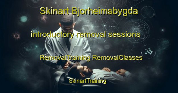 Skinart Bjorheimsbygda introductory removal sessions | #RemovalTraining #RemovalClasses #SkinartTraining-Norway