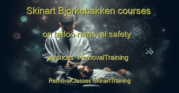 Skinart Bjorkebakken courses on tattoo removal safety practices | #RemovalTraining #RemovalClasses #SkinartTraining-Norway