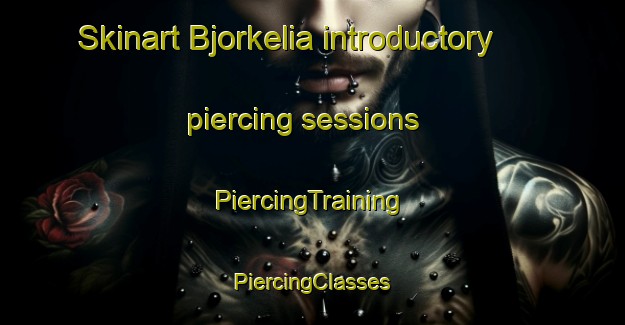 Skinart Bjorkelia introductory piercing sessions | #PiercingTraining #PiercingClasses #SkinartTraining-Norway