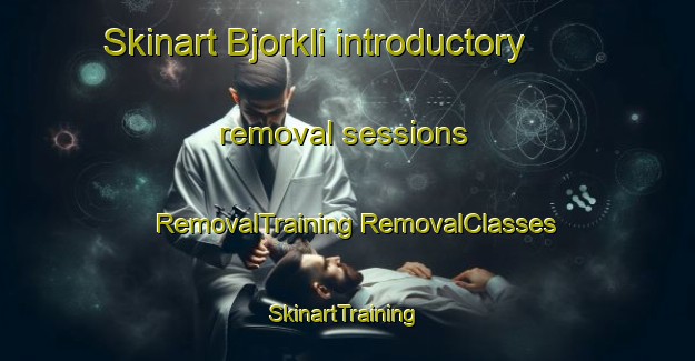 Skinart Bjorkli introductory removal sessions | #RemovalTraining #RemovalClasses #SkinartTraining-Norway