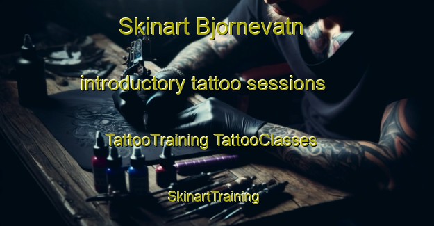 Skinart Bjornevatn introductory tattoo sessions | #TattooTraining #TattooClasses #SkinartTraining-Norway