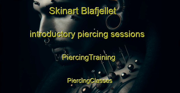 Skinart Blafjellet introductory piercing sessions | #PiercingTraining #PiercingClasses #SkinartTraining-Norway