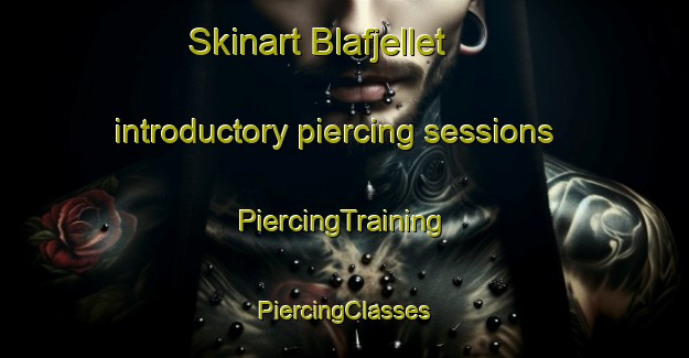 Skinart Blafjellet introductory piercing sessions | #PiercingTraining #PiercingClasses #SkinartTraining-Norway