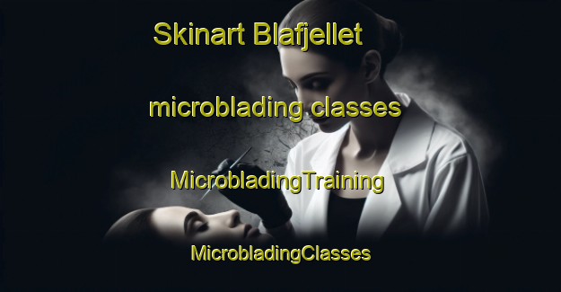 Skinart Blafjellet microblading classes | #MicrobladingTraining #MicrobladingClasses #SkinartTraining-Norway