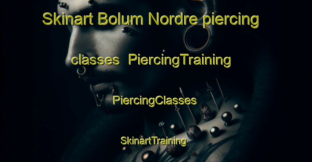 Skinart Bolum Nordre piercing classes | #PiercingTraining #PiercingClasses #SkinartTraining-Norway