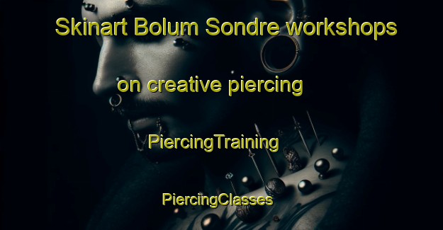Skinart Bolum Sondre workshops on creative piercing | PiercingTraining | PiercingClasses | SkinartTraining-Norway