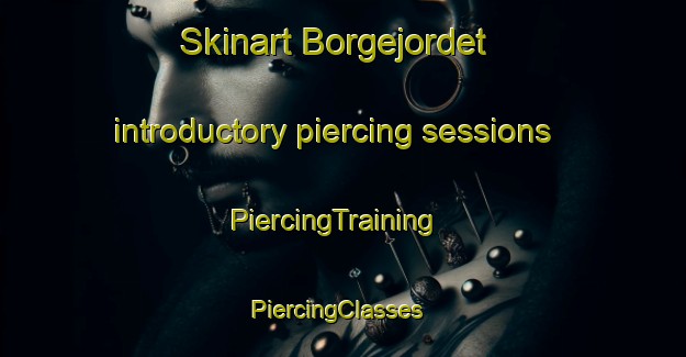 Skinart Borgejordet introductory piercing sessions | PiercingTraining | PiercingClasses | SkinartTraining-Norway