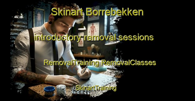 Skinart Borrebekken introductory removal sessions | #RemovalTraining #RemovalClasses #SkinartTraining-Norway