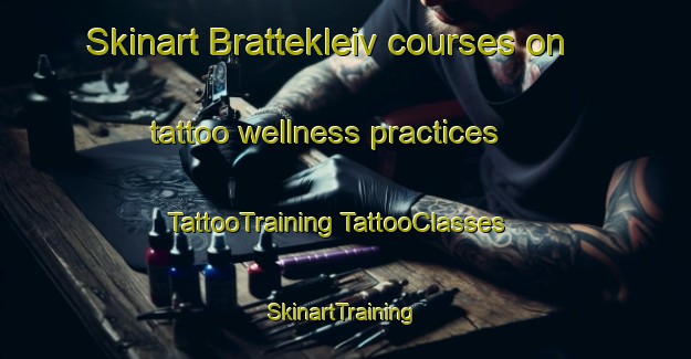 Skinart Brattekleiv courses on tattoo wellness practices | #TattooTraining #TattooClasses #SkinartTraining-Norway