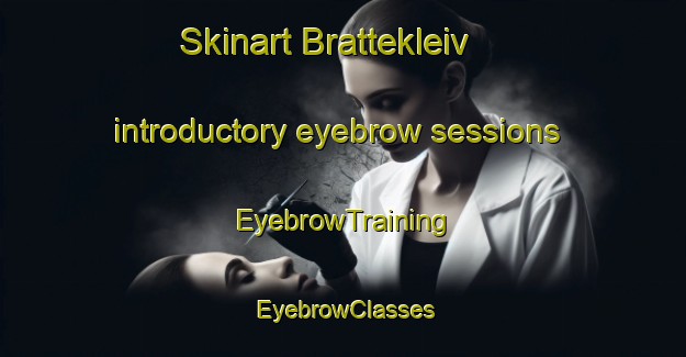 Skinart Brattekleiv introductory eyebrow sessions | EyebrowTraining | EyebrowClasses | SkinartTraining-Norway