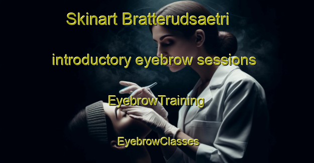 Skinart Bratterudsaetri introductory eyebrow sessions | EyebrowTraining | EyebrowClasses | SkinartTraining-Norway