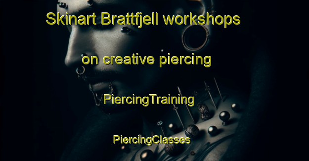Skinart Brattfjell workshops on creative piercing | PiercingTraining | PiercingClasses | SkinartTraining-Norway