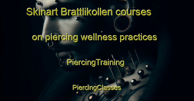 Skinart Brattlikollen courses on piercing wellness practices | #PiercingTraining #PiercingClasses #SkinartTraining-Norway