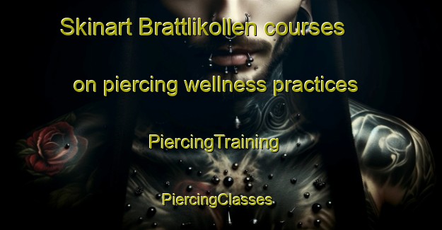 Skinart Brattlikollen courses on piercing wellness practices | PiercingTraining | PiercingClasses | SkinartTraining-Norway